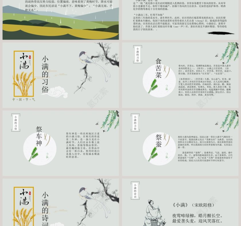 简约风中国二十四节气小满介绍PPT模板 第3张