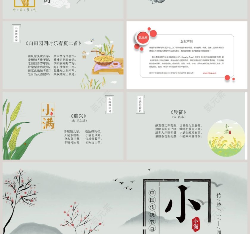 简约风中国二十四节气小满介绍PPT模板 第4张