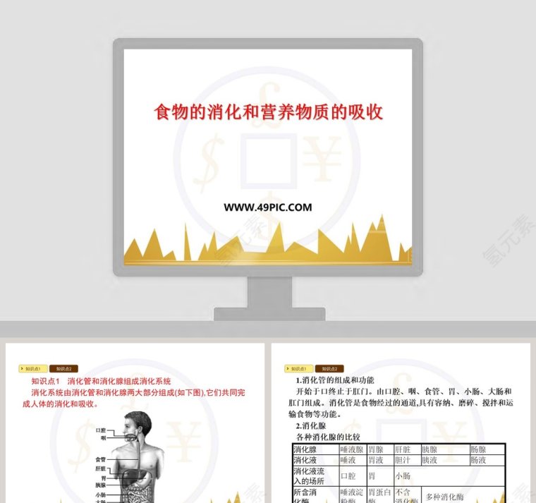 食物的消化和营养物质的吸收教学ppt课件第1张