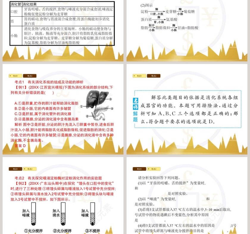 食物的消化和营养物质的吸收教学ppt课件第3张