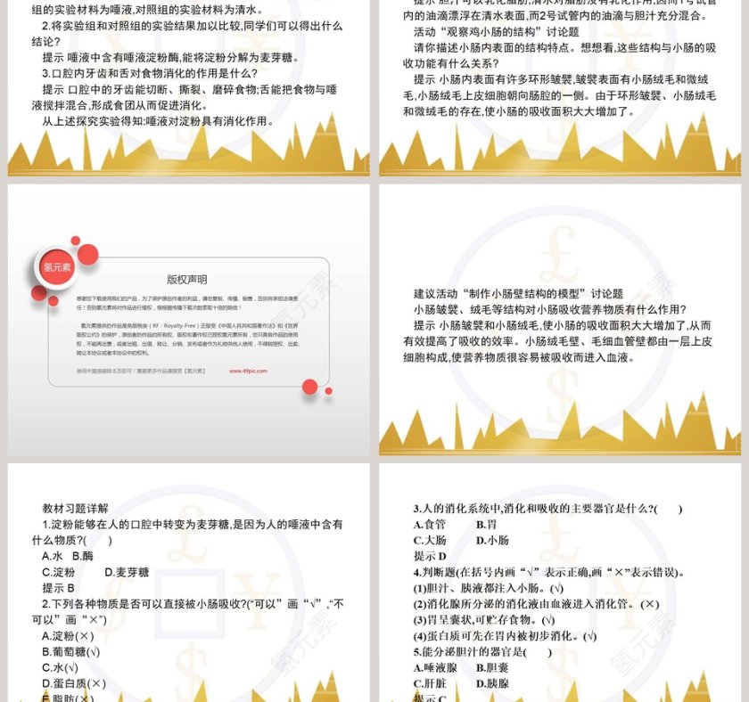 食物的消化和营养物质的吸收教学ppt课件第5张