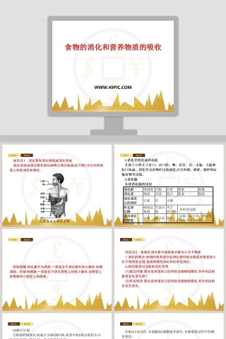 食物的消化和营养物质的吸收教学ppt课件