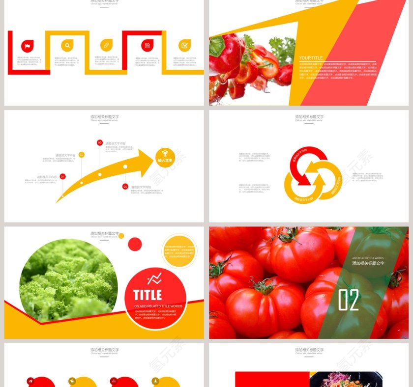 绿色有机蔬菜农产品宣传PPT第2张