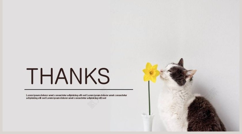 Business Annual Report    PPT第5张