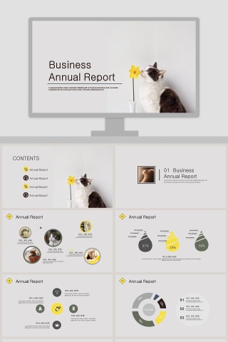 Business Annual Report    PPT