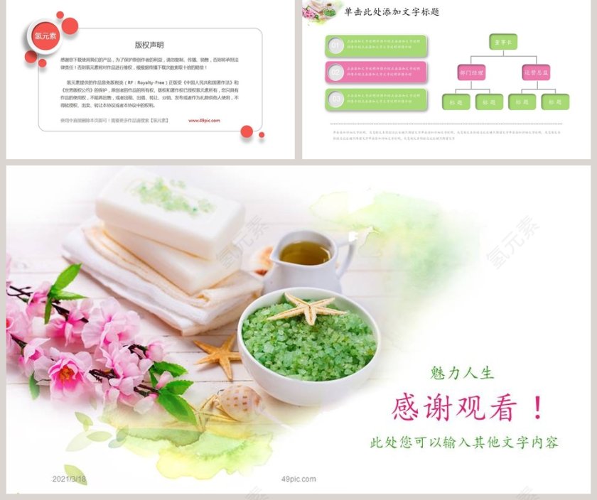 清新淡雅美容养生产品发布PPT模板第5张