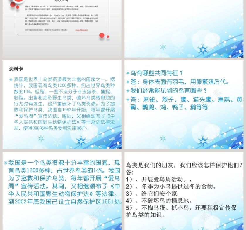 它们都是鸟-青岛版三年级科学下册课件教学ppt课件第5张