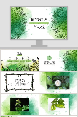 植物妈妈有办法ppt