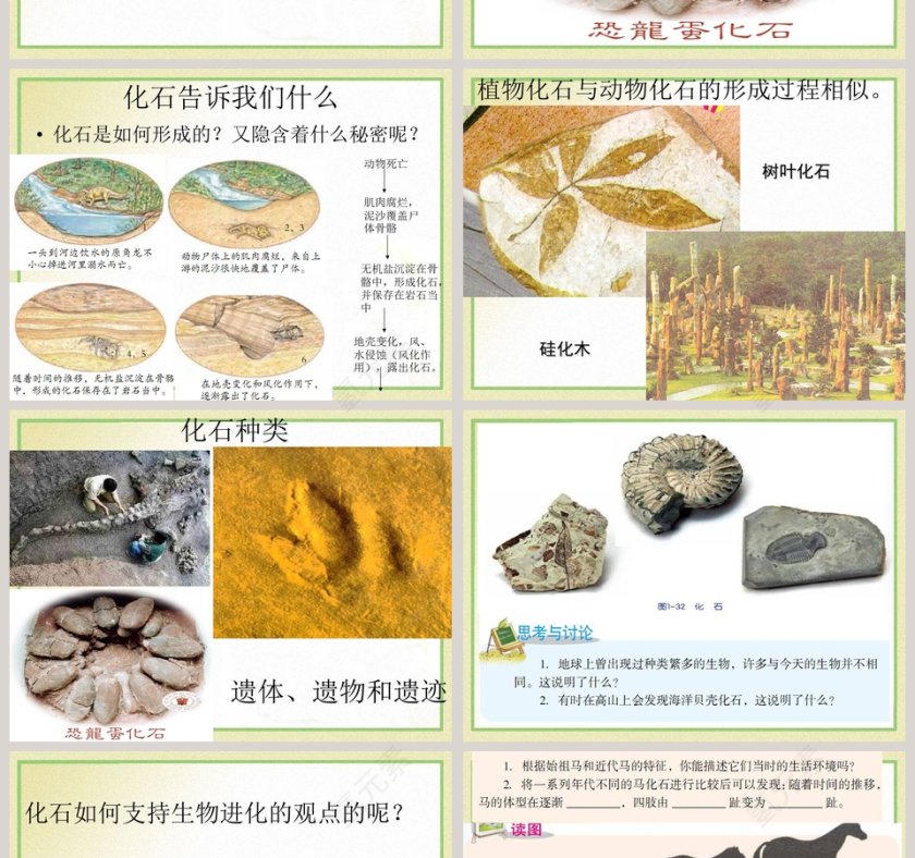 第-4教学ppt课件第2张