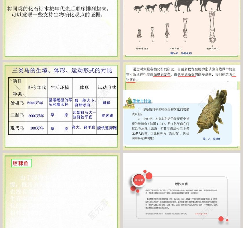 第-4教学ppt课件第3张