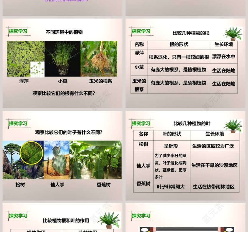 教科版   六年级上册-原来是相互关联的教学ppt课件第2张