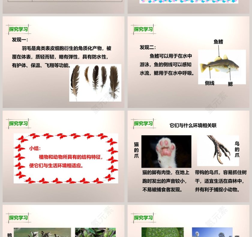 教科版   六年级上册-原来是相互关联的教学ppt课件第4张