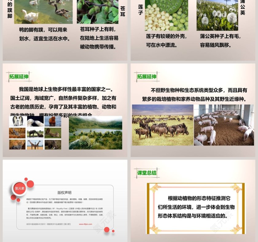 教科版   六年级上册-原来是相互关联的教学ppt课件第5张