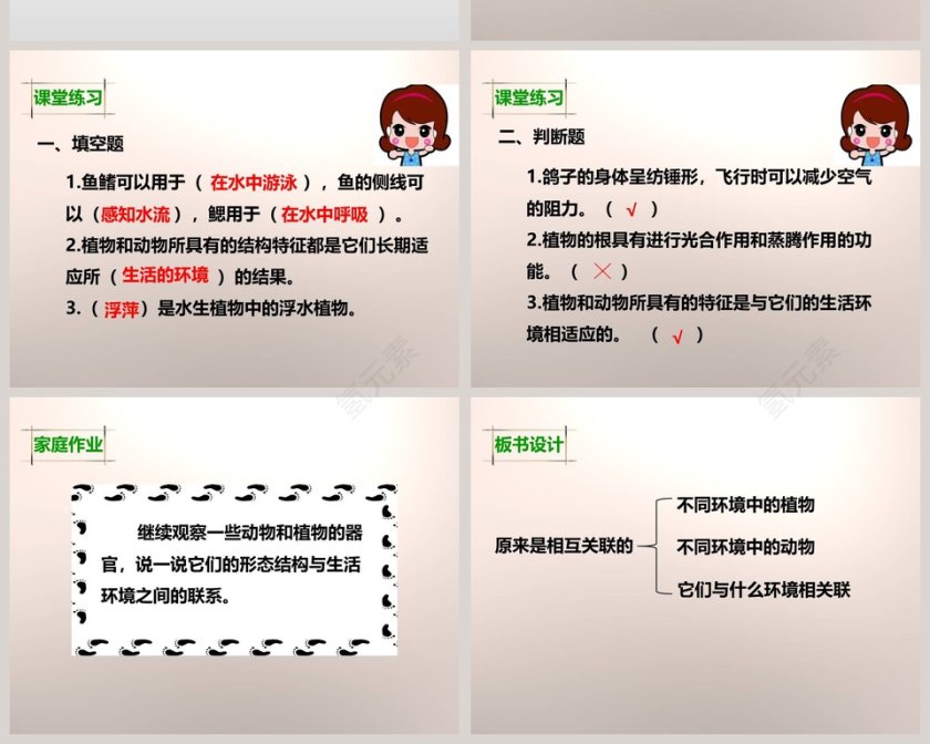 教科版   六年级上册-原来是相互关联的教学ppt课件第6张