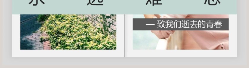 致我们逝去的青春同学会PPT第5张