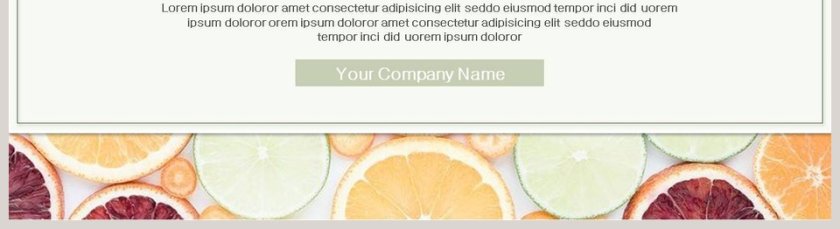  清新文艺 水果风格PPT模板     第5张