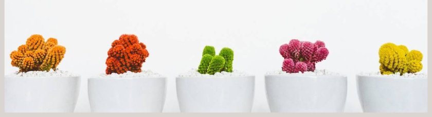 简约清新工作总结计划工作报告PPT第5张