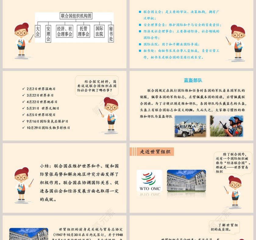 日益重要的国际组织教学ppt课件第5张
