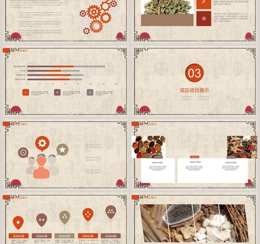 养生文化工作概述完成情况PPT 第3张