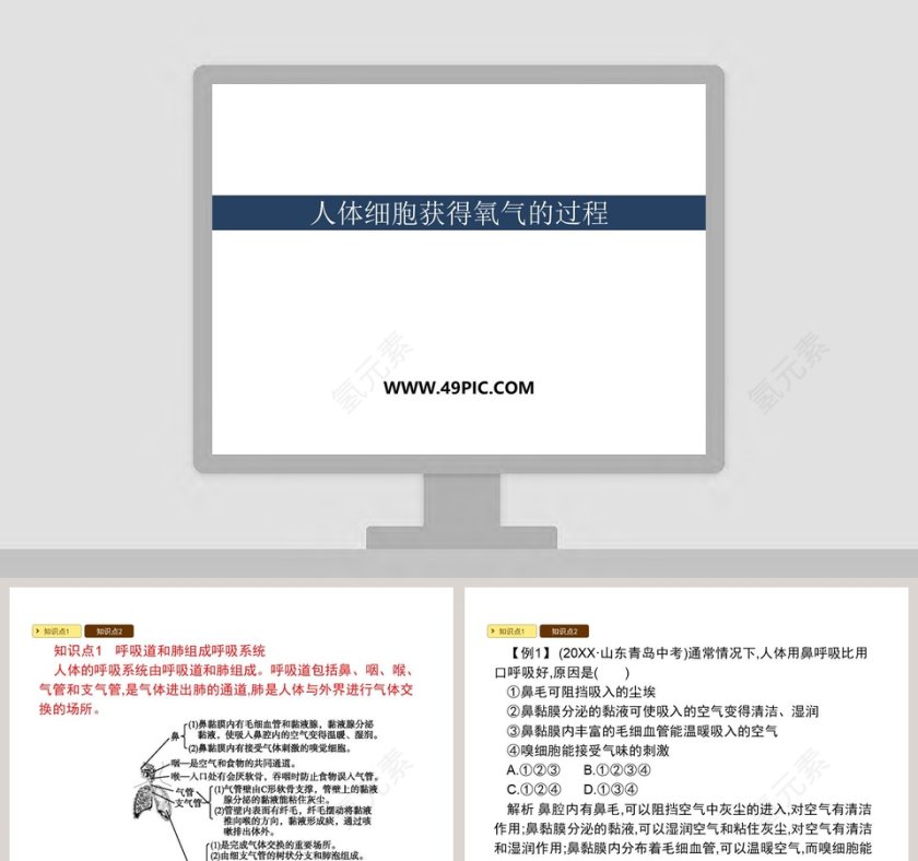 人体细胞获得氧气的过程_PPT模板第1张