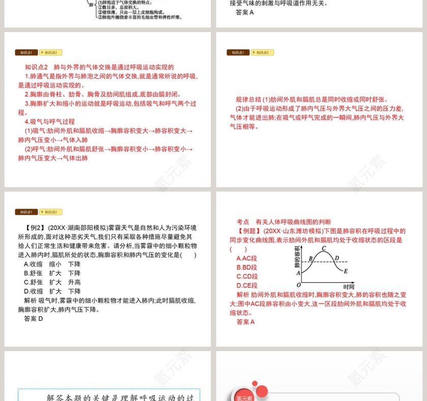 人体细胞获得氧气的过程_PPT模板第2张