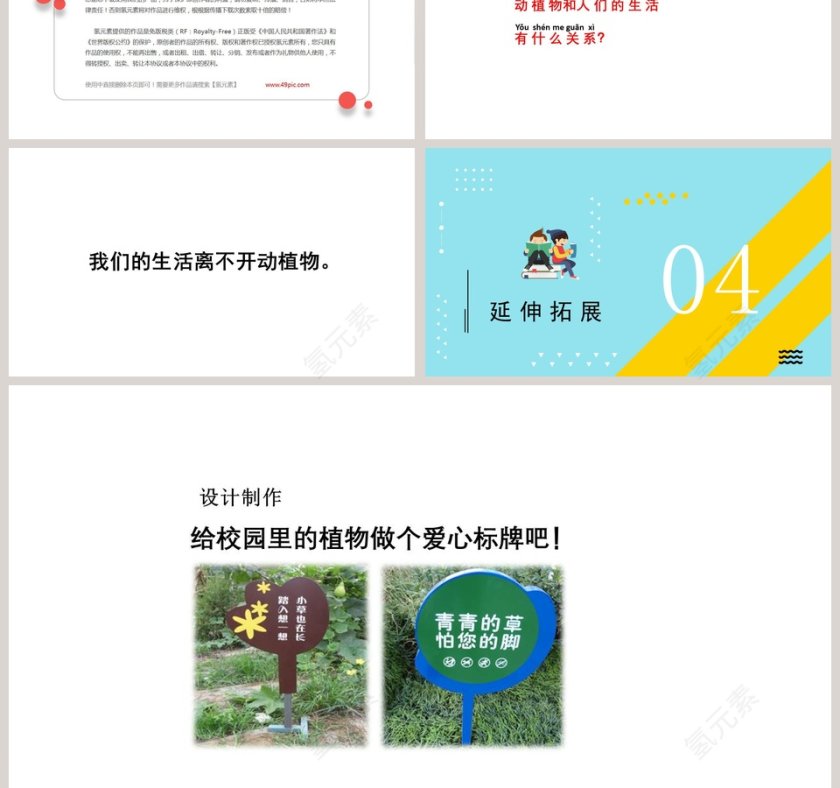 教育培训行业荒岛生存大象版科学二年级下册课件PPT模板第3张