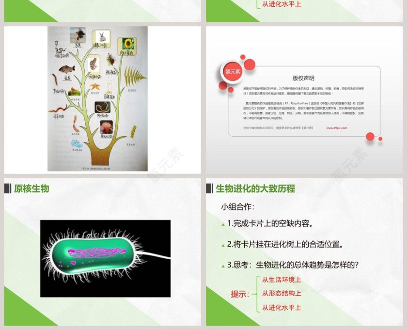 第二节-生物进化的历程教学ppt课件第4张
