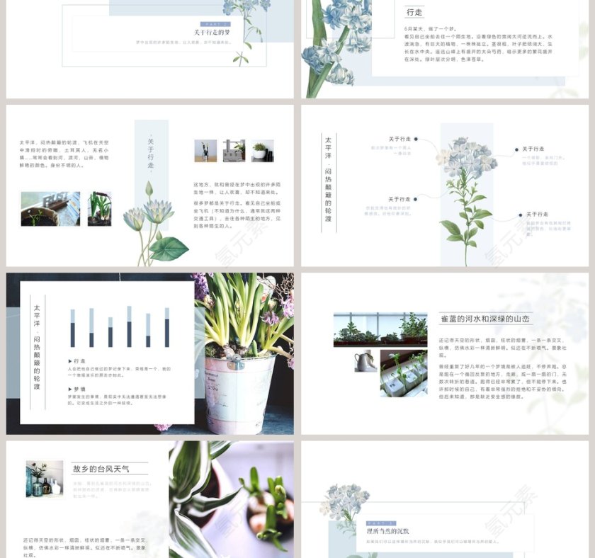 清醒纪植物绘PPT第3张