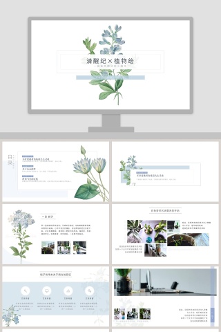 清醒纪植物绘PPT
