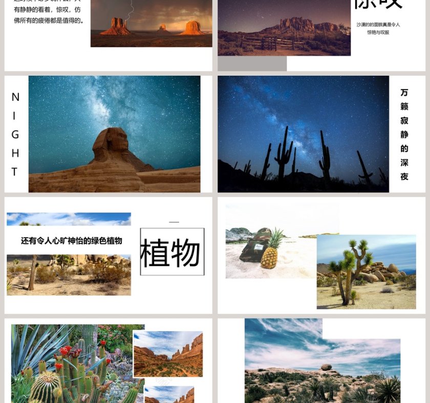 简约大气五年级语文课件《沙漠之旅》PPT第3张