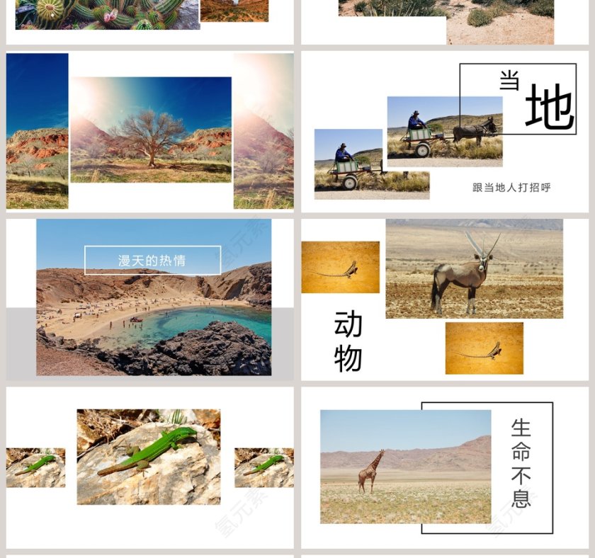 简约大气五年级语文课件《沙漠之旅》PPT第4张