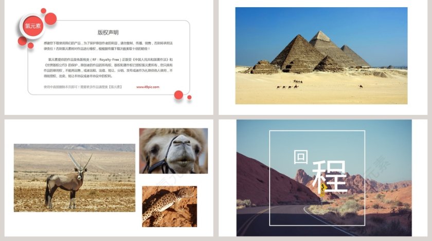 简约大气五年级语文课件《沙漠之旅》PPT第5张