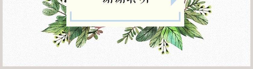 清新雅致述职报告PPT第5张