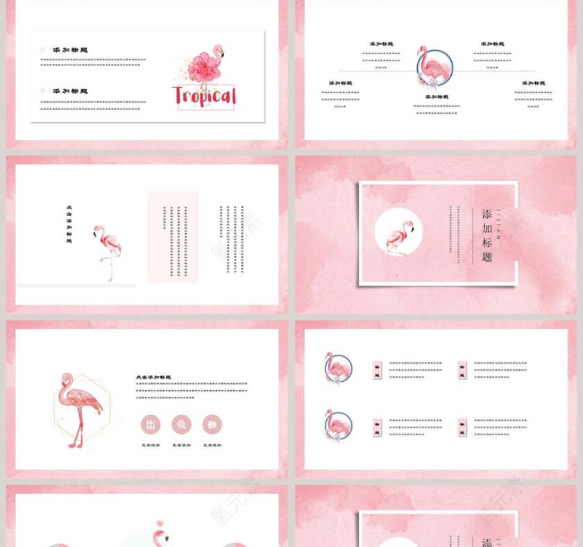 极简风火烈鸟主题PPT第2张