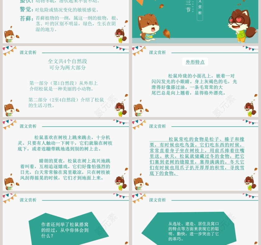 五年级语文课件PPT松鼠第3张