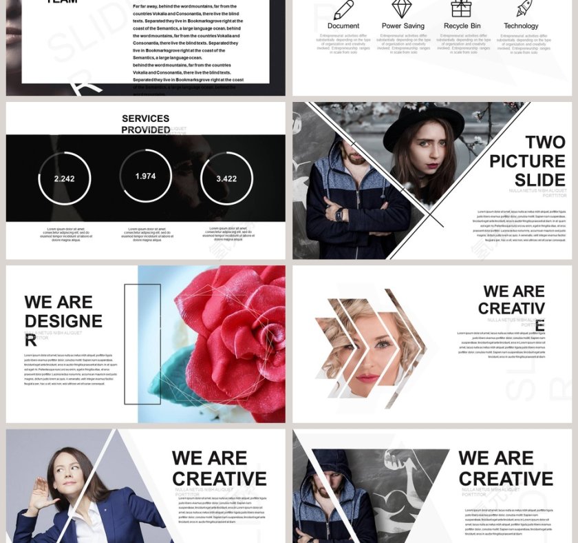 欧美风简约大气商业计划书PPT第3张