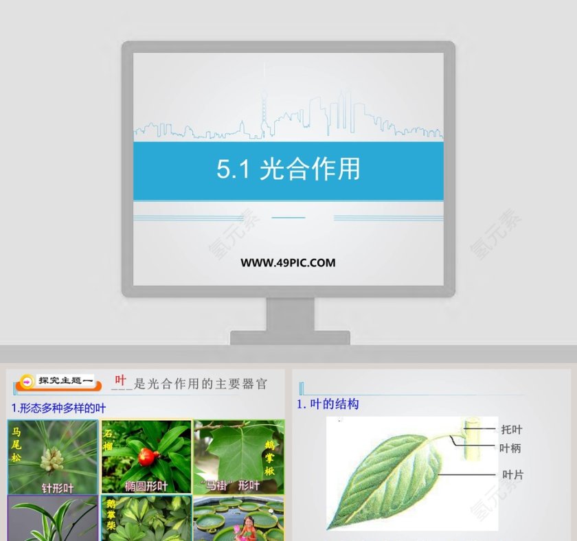 -光合作用教学ppt课件第1张