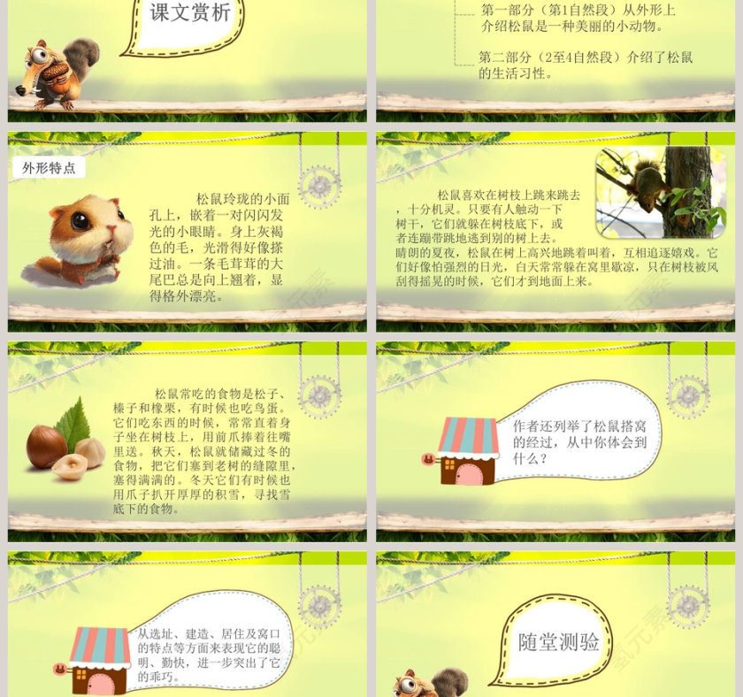 语文教学松鼠PPT课件第3张