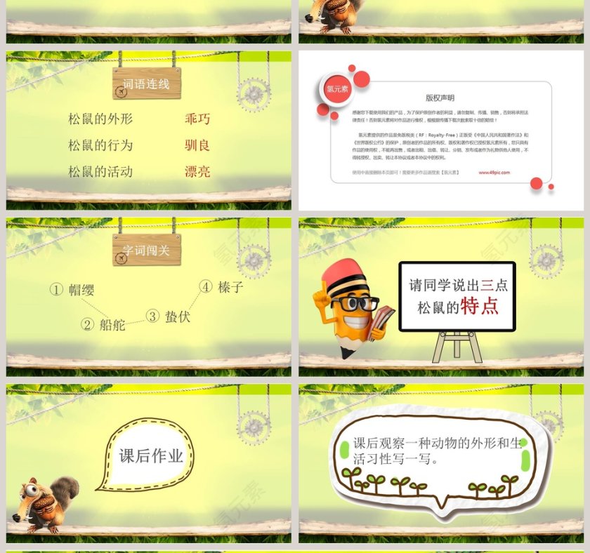 语文教学松鼠PPT课件第4张