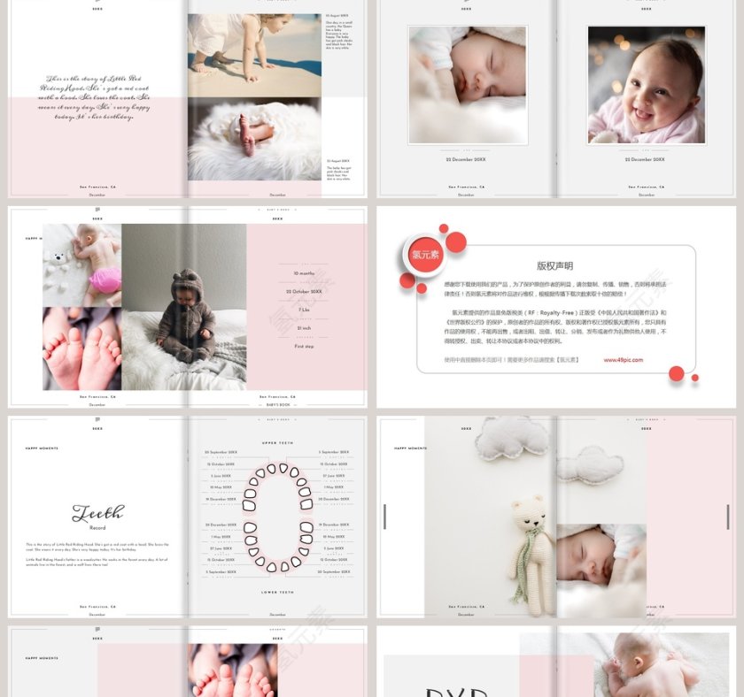 植物系文艺范生活记录PPT 第5张