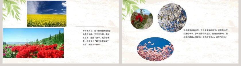 简约唯美背景5.1劳动节节日ppt模板第5张