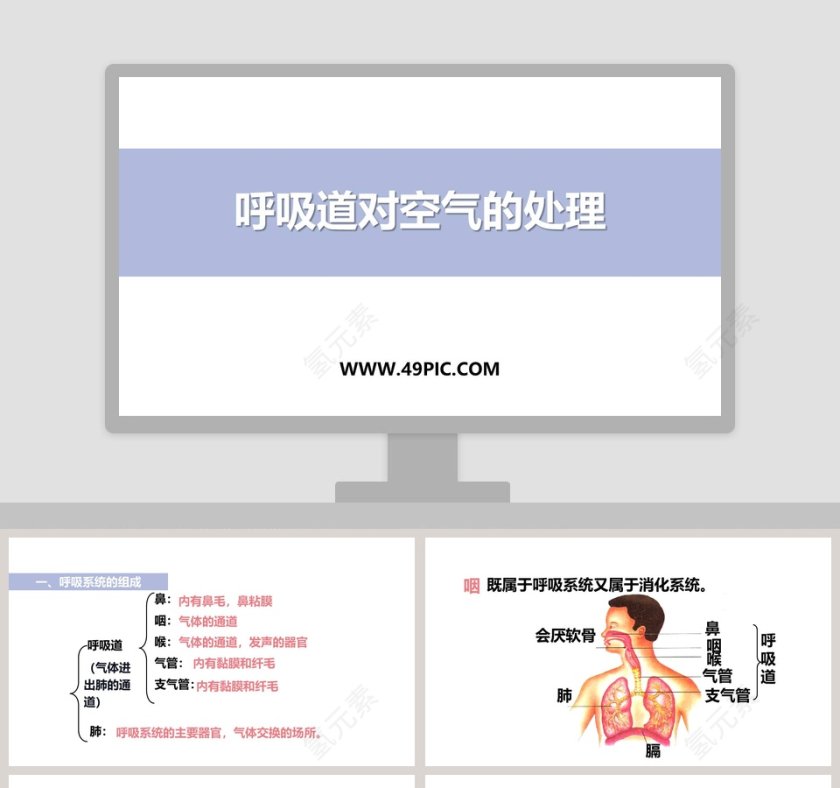 呼吸道对空气的处理教学ppt课件第1张
