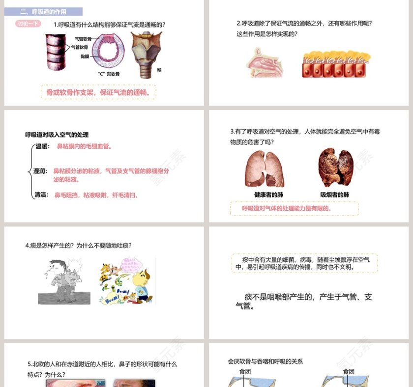 呼吸道对空气的处理教学ppt课件第2张