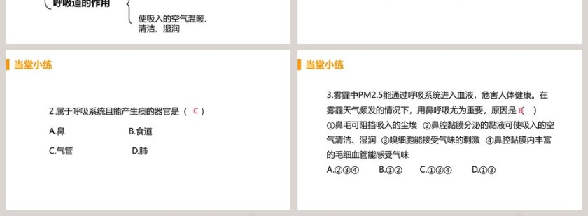呼吸道对空气的处理教学ppt课件第4张