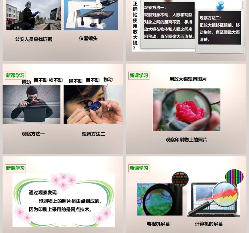 教科版   六年级下册-放大镜教学ppt课件第3张