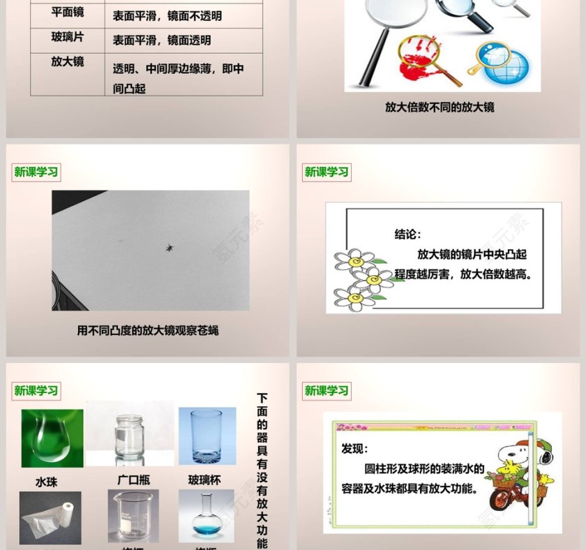 教科版   六年级下册-放大镜教学ppt课件第5张