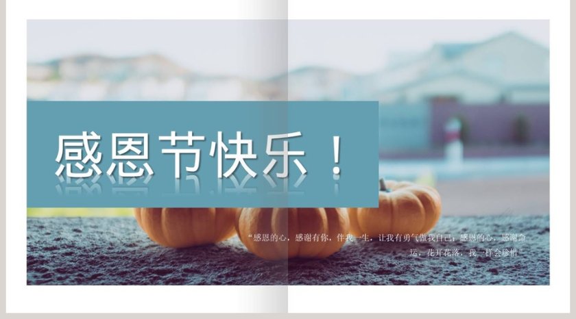 感恩节营销策划方案PPT模板第5张