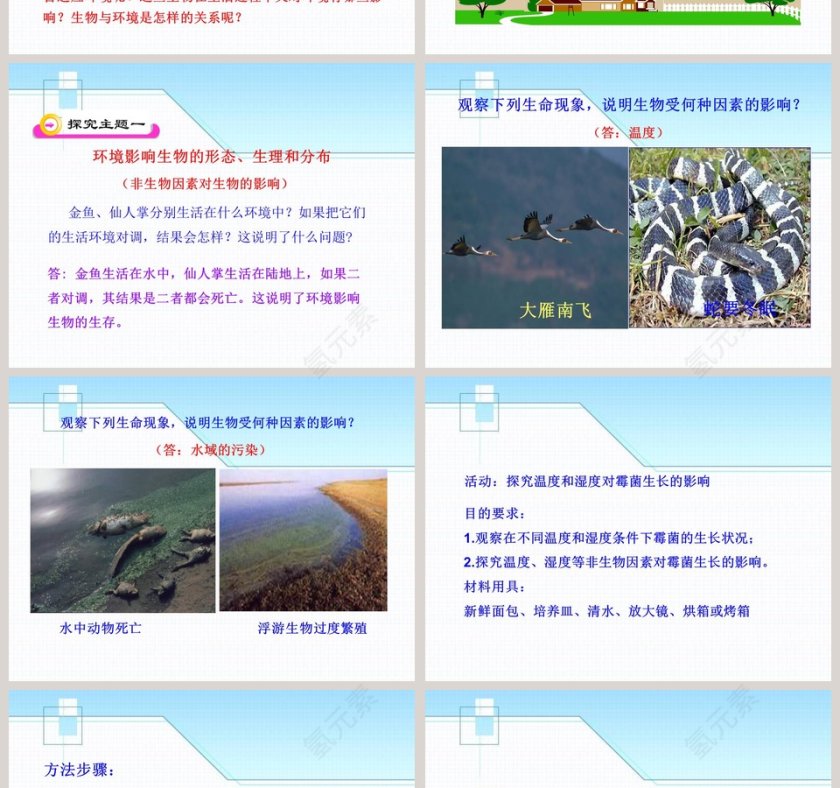 生物与环境的相互影响教学ppt课件第2张