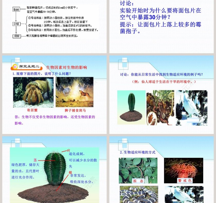 生物与环境的相互影响教学ppt课件第3张