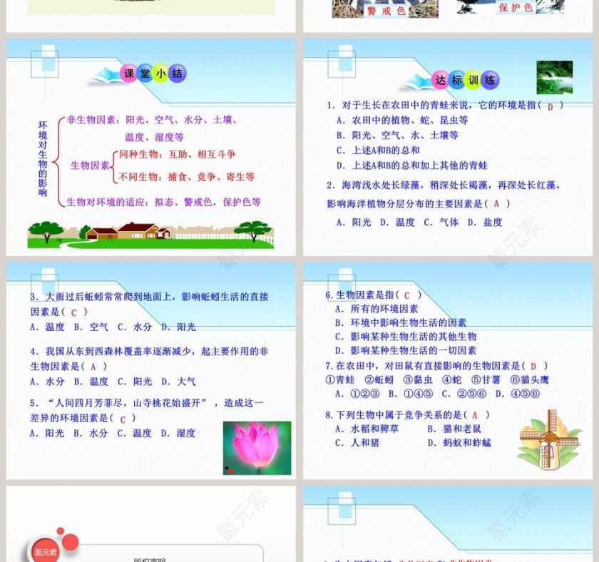 生物与环境的相互影响教学ppt课件第4张